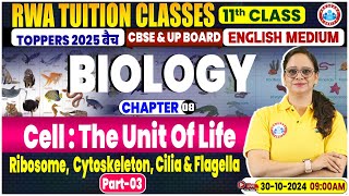 Class 11 Biology Chapter 8 Cell  The Unit Of Life  Ribosome Cytoskeleton Cilia amp Flagella [upl. by Christin87]