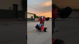 Wheelies into sunset 🌅🌴 miami trx450 florida [upl. by Greenwald]