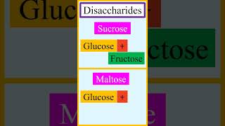 Monomer units of disaccharides sucrose lactose maltose and cellobiose chemistry [upl. by Rosalee]