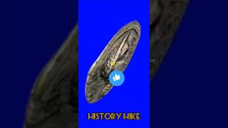 The Origin of the Calendar You Use Todayhistory youtubeshorts historyfacts shorts india [upl. by Drake]