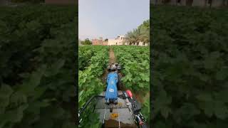 BCS power widder made in Italy farming farmer trending jaat prernaorganicfarms [upl. by Farmelo]