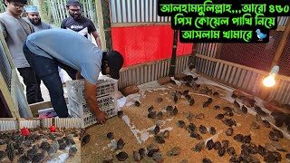 আলহামদুলিল্লাহআরো ৪৫০ পিস কোয়েল পাখি নিয়ে আসলাম 🐦 [upl. by Koval]