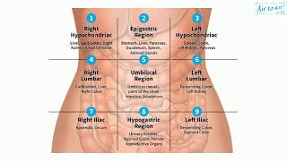 umbilical region [upl. by Shamma]