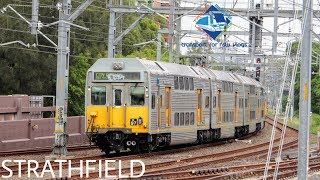 Transport for NSW Vlog No1123 Strathfield part 9 [upl. by Odnam]