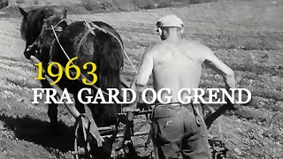 FRA gard og grend  Landbruk i Norge 1963 [upl. by Tnahsin875]