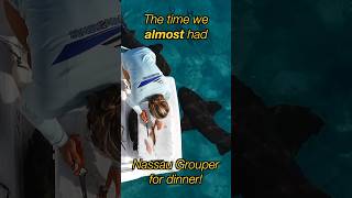 The Time we ALMOST had Nassau Grouper for Dinner fishing livingonaboat fishingfails [upl. by Jessa]