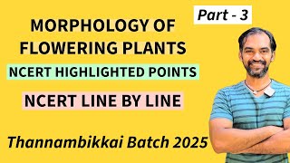 Morphology of Flowering Plants in Tamil  Part 3  TB 2025 [upl. by Jessalin753]