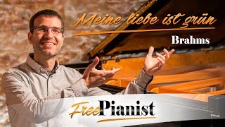 Meine liebe ist grün op63 n5  High voice  KARAOKE  PIANO ACCOMPANIMENT  Brahms [upl. by Bartel]