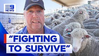 Aussie farmers bracing themselves for another drought  9 News Australia [upl. by Hcnarb]