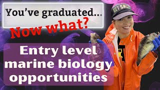 Entry Level Marine Biology Jobs and Opportunities How to get started in Marine Biology [upl. by Hose]