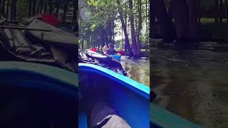 Rafting in Palushi Lithuania passing small forest river Part 44 rafting travel river [upl. by Dimitris]