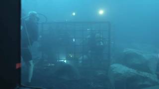 Behind the Scenes  47 Meters Down 1080p 2017 Hd [upl. by Burrus]