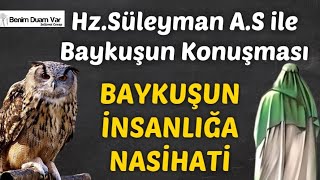 HzSüleyman AS İle Baykuşun Konuşması BAYKUŞUN İNSANLIĞA NASİHATİ [upl. by Adley]