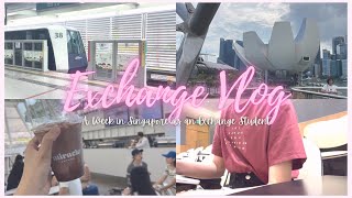 Exchange Vlog 1 A Week in Singapore 🏞️📚🥤  在新加坡交流🇸🇬 記錄我的一週生活！ [upl. by Winonah]