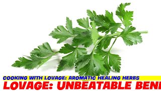 Cooking with Lovage Aromatic Healing Herbs [upl. by Mcgurn]