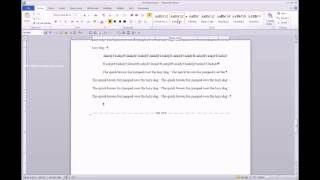 TEMPLATE Format basic paragraphs using the Body Text style [upl. by Llertac142]