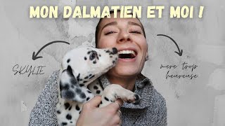 JAI UN DALMATIEN [upl. by Yelsa]