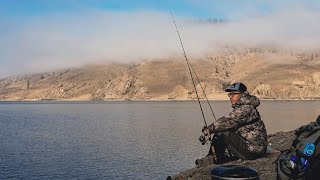 Bank Fishing for MASSIVE TROUT Catch amp Cook GIANT Trout [upl. by Metzger]