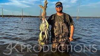 Wading Stump Flats For Mississippi Crappie [upl. by Sillaw340]