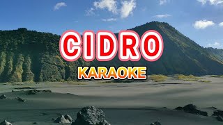 Cidro Karaoke  Didi Kempot [upl. by Shaddock]