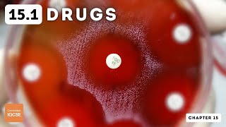 IGCSE Biology  Drugs 151 [upl. by Olenka]