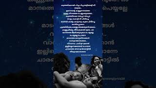 manathe marikurumbe song Lyrics pulimuruganmoviesong malayalamsonglyrics viralsong emotionalsong [upl. by Erdda]