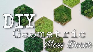 🔰DIY Geometric Moss Decor 🔰 [upl. by Elimaj]