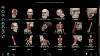 Atlas de Anatomia interactivo Descarga MEGA [upl. by Hluchy]