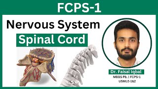 FCPS1  Nervous System Spinal Cord Anatomy of Spinal Tracks Blood Supply Brown Sequard Syndrome [upl. by Jenkel]