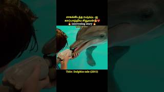 Dolphin is a boy who saves livesshortsDolphin taleshort [upl. by Eciralc]