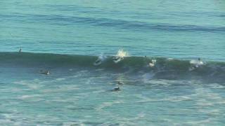 Sunset Surf in Santa Cruz Jan 5 2012 [upl. by Aiselad]