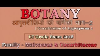 Biology  Botany  Classification Of Angiosperms Part2 Family  Malvaceae amp Cucurbitaceae [upl. by Ennaeerb305]