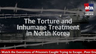 Torture of Prisoners in North Korea [upl. by Tivad]