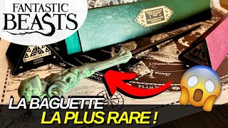 ON VOUS PRÉSENTE LA BAGUETTE HARRY POTTER LA PLUS RARE [upl. by Averell]