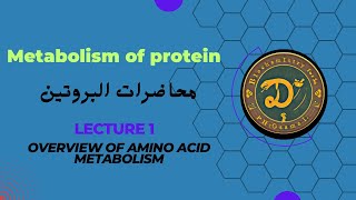 overview of amino acid metabolism شرح بالعربي على مصدر هاربر  جابتر ٢٨ [upl. by Ynahteb]