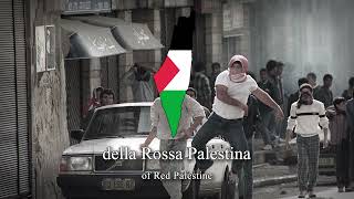 quotRossa Palestinaquot  Italian ProPalestinian Song [upl. by Enilhtak]