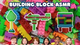 Compilation Satisfying Building Block Science ASMR  Building Block ASMR [upl. by Graehl]