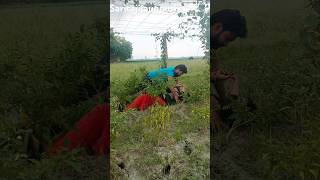 आज तो नहीं छोडूंगाsaritajijaunpuriya trendingvideo [upl. by Nosreg]