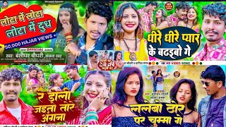 Bansidhar Chaudhary Ka Gana Nonstop 5 New song 2024 ke [upl. by Neslund842]