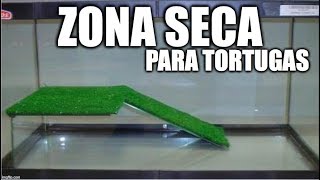 zona seca de la tortuga de agua [upl. by Artenal]