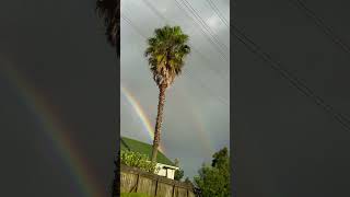 Twinned rainbow captured 🌈 newzealand shorts fyp beautifulcreation fypシ゚viral [upl. by Naihr]