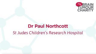 Ask the Researcher  Dr Paul Northcott  Biomedical Research into Paediatric Brain Tumours [upl. by Sudaorb586]