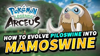 How to evolve PILOSWINE into MAMOSWINE  Pokemon Legends Arceus [upl. by Bartholomeus646]