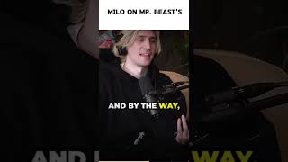 milo on mr beasts podcast podcastry impaulsive [upl. by Ioj796]