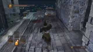 DARK SOULS 2  ALL Dual Wielded Weapons and Move Sets [upl. by Notnyw]