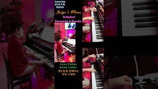 Schubert Serenade 6 Hands 1슈베르트 세레나데 식스핸즈 1 [upl. by Lsiel]