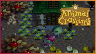 Lets Play Animal Crossing 148  First Snow  Gamecube [upl. by Garcon]