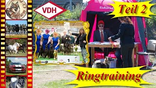 Hundeausstellung 26  Ringtraining für die Show  2 Training  Hund erfolgreich ausstellen  Tips [upl. by Krutz250]