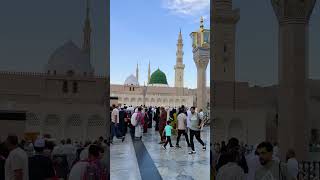 Modina manwarh ❤️madina prabasivlog masjidnabawi shorts [upl. by Havelock]