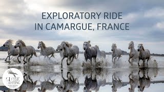 Exploratory Camargue Ride  Horse Riding Holidays in France  Globetrotting [upl. by Ecneret]